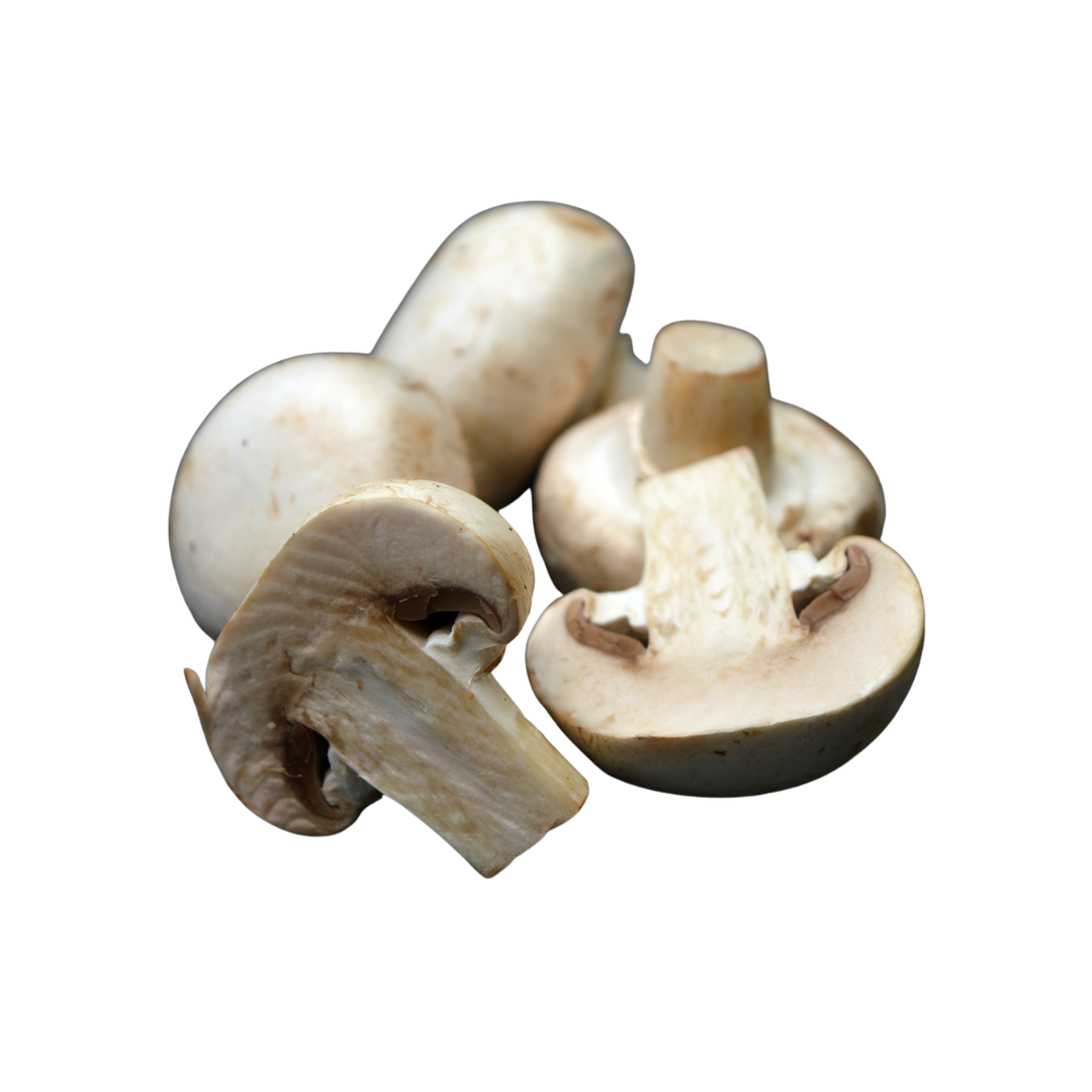 Day 3 蔬菜 (最多三項)